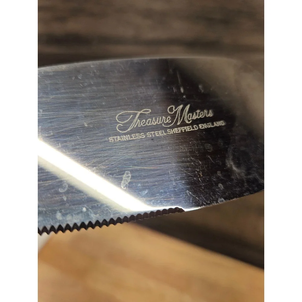 Treasure Masters Sheffield England Stainless Cake Server White Pearl Handle